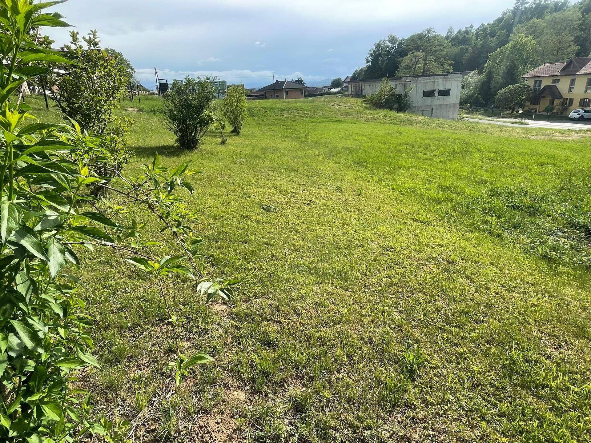 2 Baugrundstücke in Neudorf an der Mur zu verkaufen - Ansicht 3
