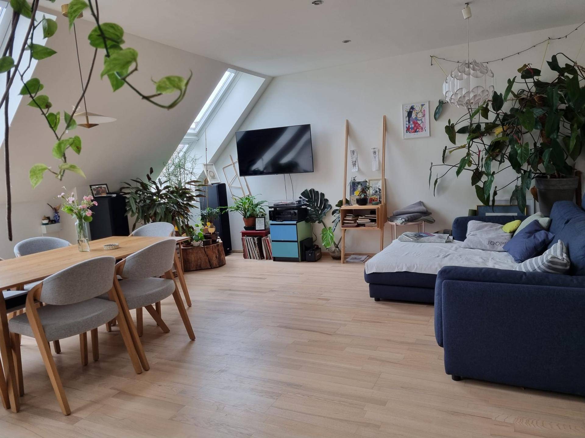 Lichtdurchfluteter Wohn- und Essbereich mit Esstisch, Sofa und Dachfenstern, dekoriert mit Pflanzen.