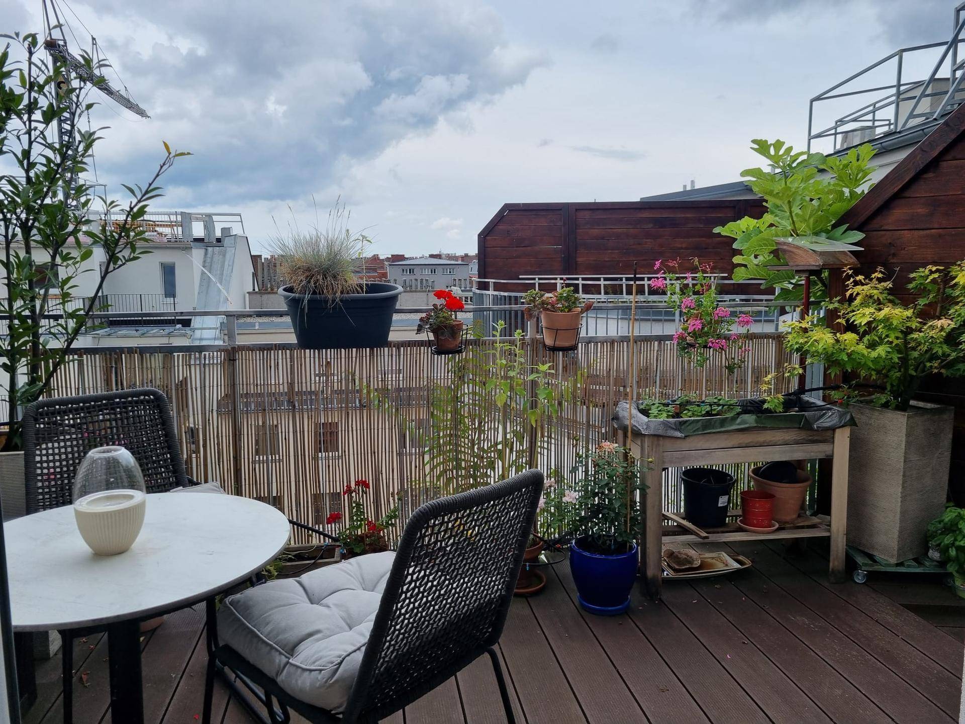 Sonnige Dachterrasse mit Holzboden, Gartenmöbeln und vielfältiger Bepflanzung.