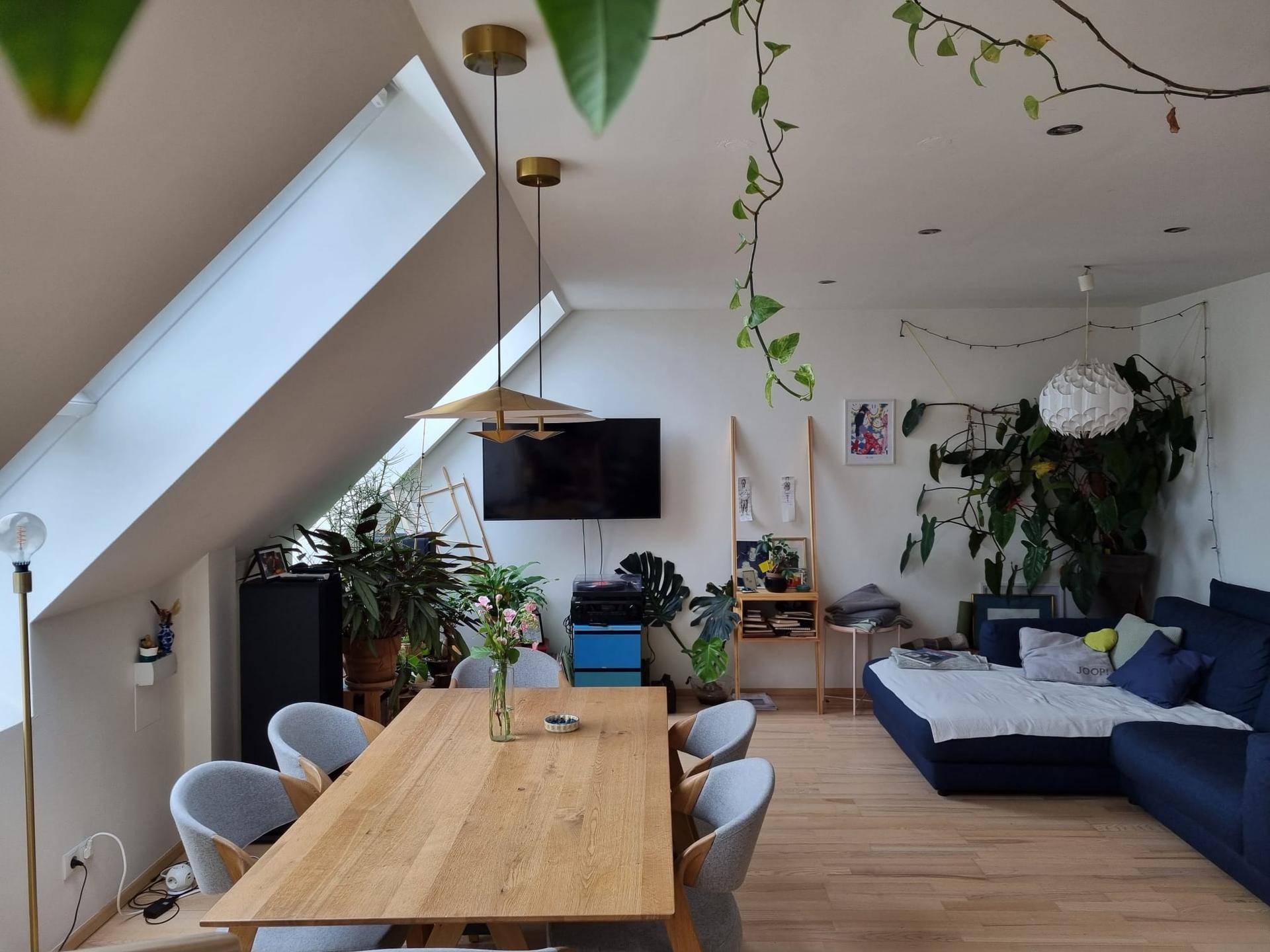 Heller Wohn- und Essbereich mit Esstisch, Sofa, Fernseher und Dachfenster, umgeben von Pflanzen.