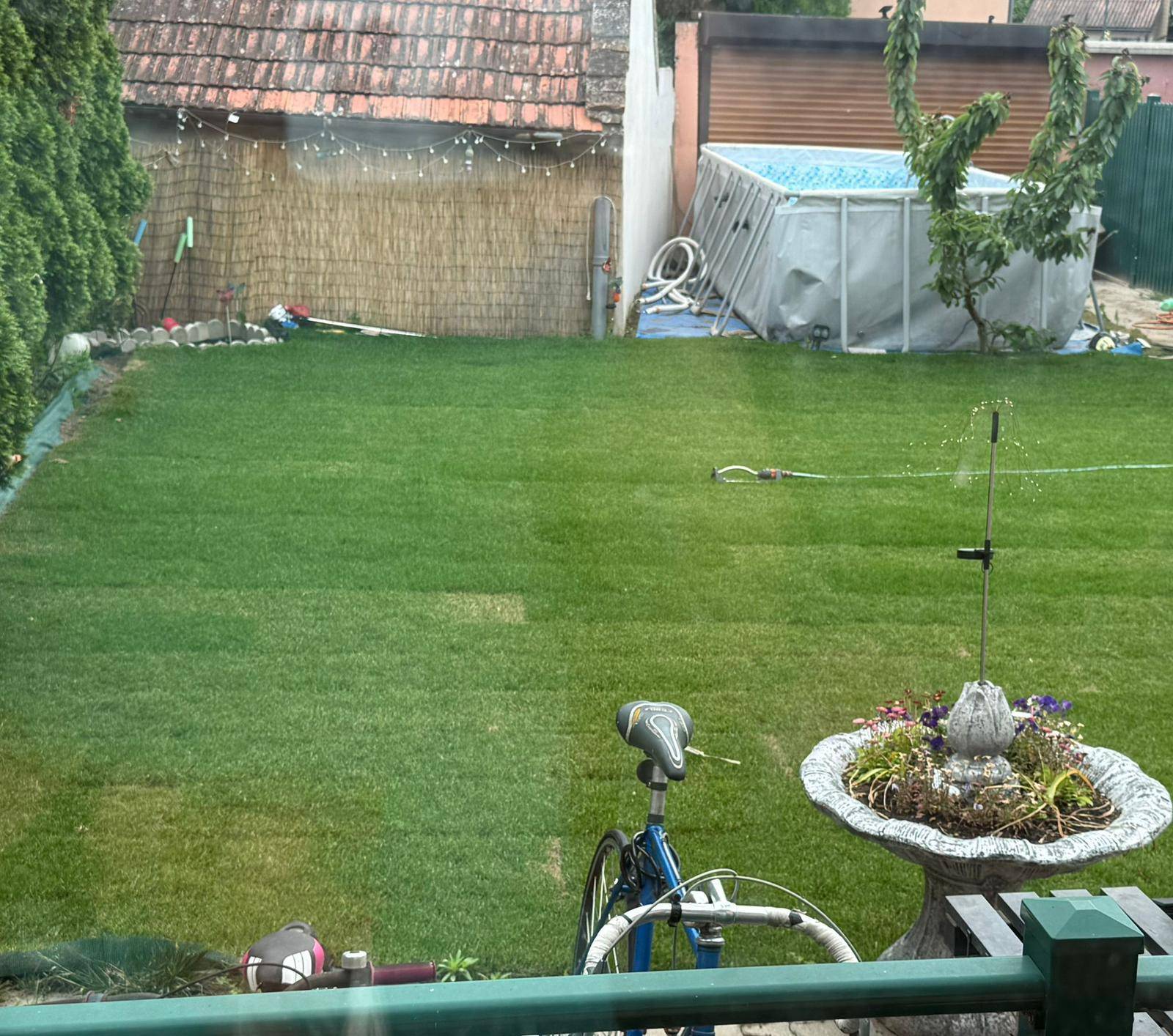 Grüner Garten mit Rasenfläche, kleinem Pool und Blumenkübel im Vordergrund.