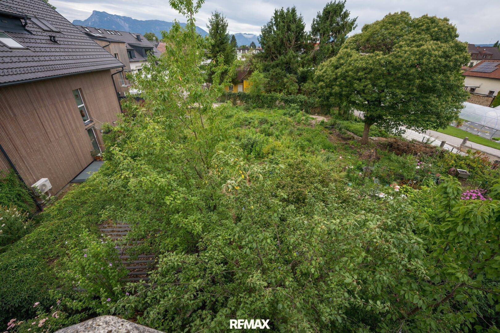 Weitläufiger Blick über das grüne Gartengrundstück mit üppiger Vegetation und Bergsicht.