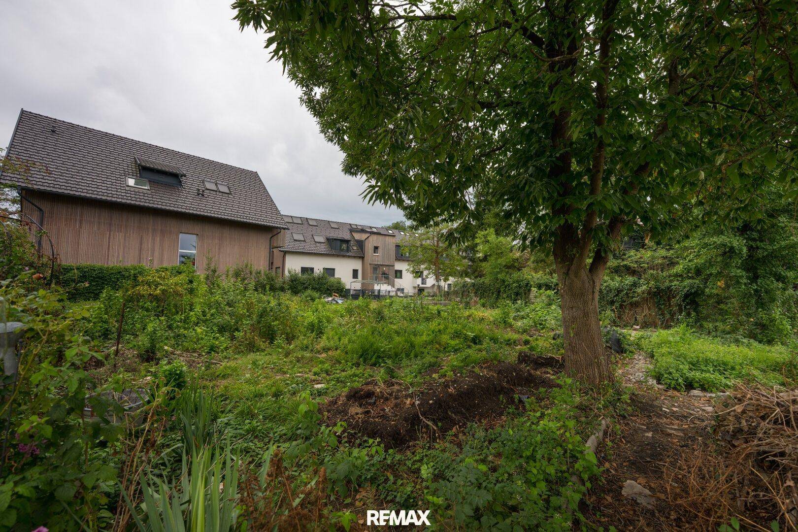 Verwildertes Gartengrundstück mit hohem Baumbestand und Blick auf die umliegenden Häuser.