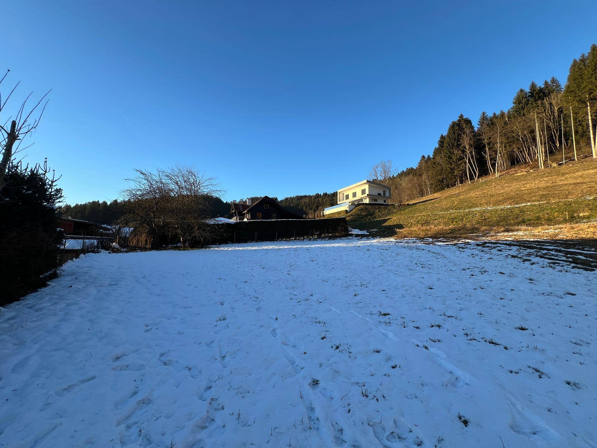 Schneebedecktes Grundstück mit Waldrand und einem Haus am Hang unter strahlend blauem Himmel.