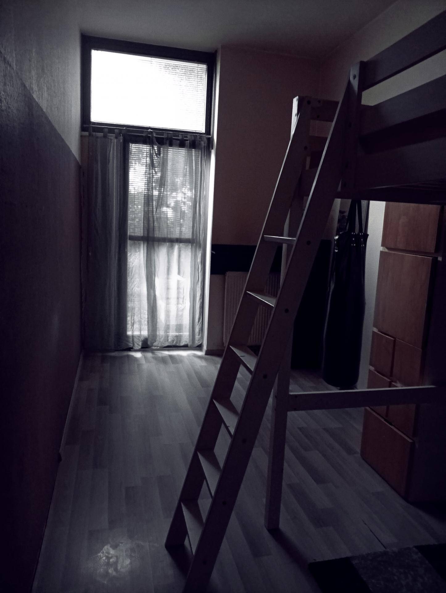 Schlafzimmer mit Hochbett, Holzleiter und Fenster mit Vorhängen, das Tageslicht hereinlässt.