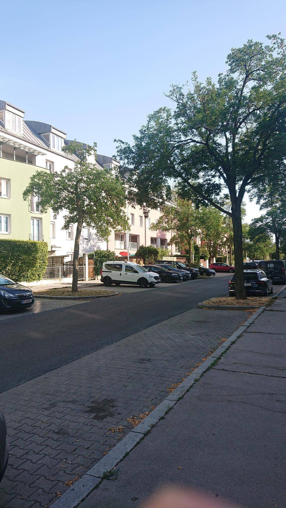 Ruhige Wohnstraße mit geparkten Autos, Bäumen und Mehrfamilienhäusern im Hintergrund.