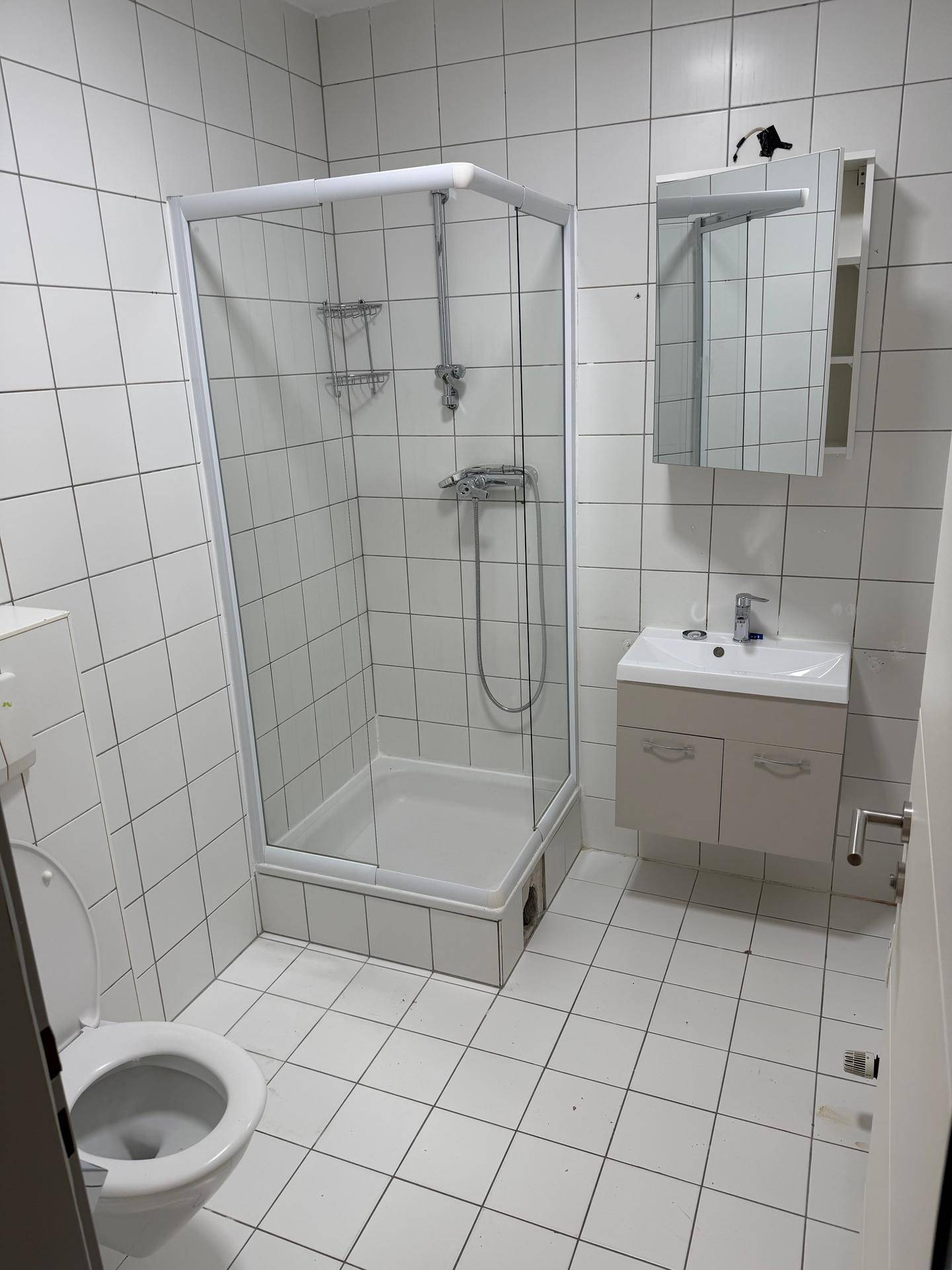 Funktionales Badezimmer mit weißen Fliesen, Duschkabine, Toilette und Waschbecken mit Spiegelschrank.