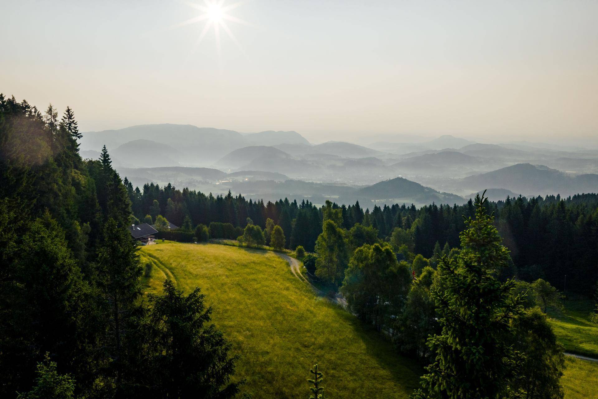 Weitläufige Landschaft mit dichten Wäldern, einer Lichtung und majestätischen Bergen am Horizont.
