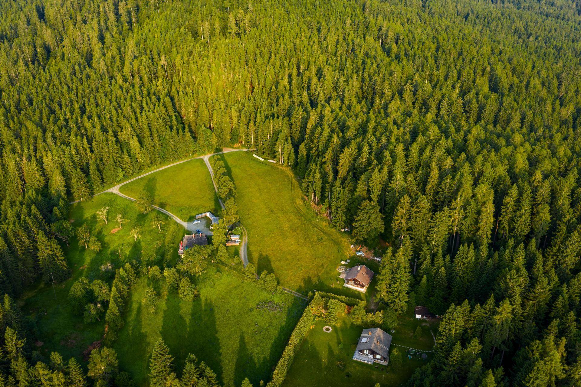 Vogelperspektive auf dichte Wälder, kleine Lichtungen und vereinzelte Häuser in hügeliger Landschaft.