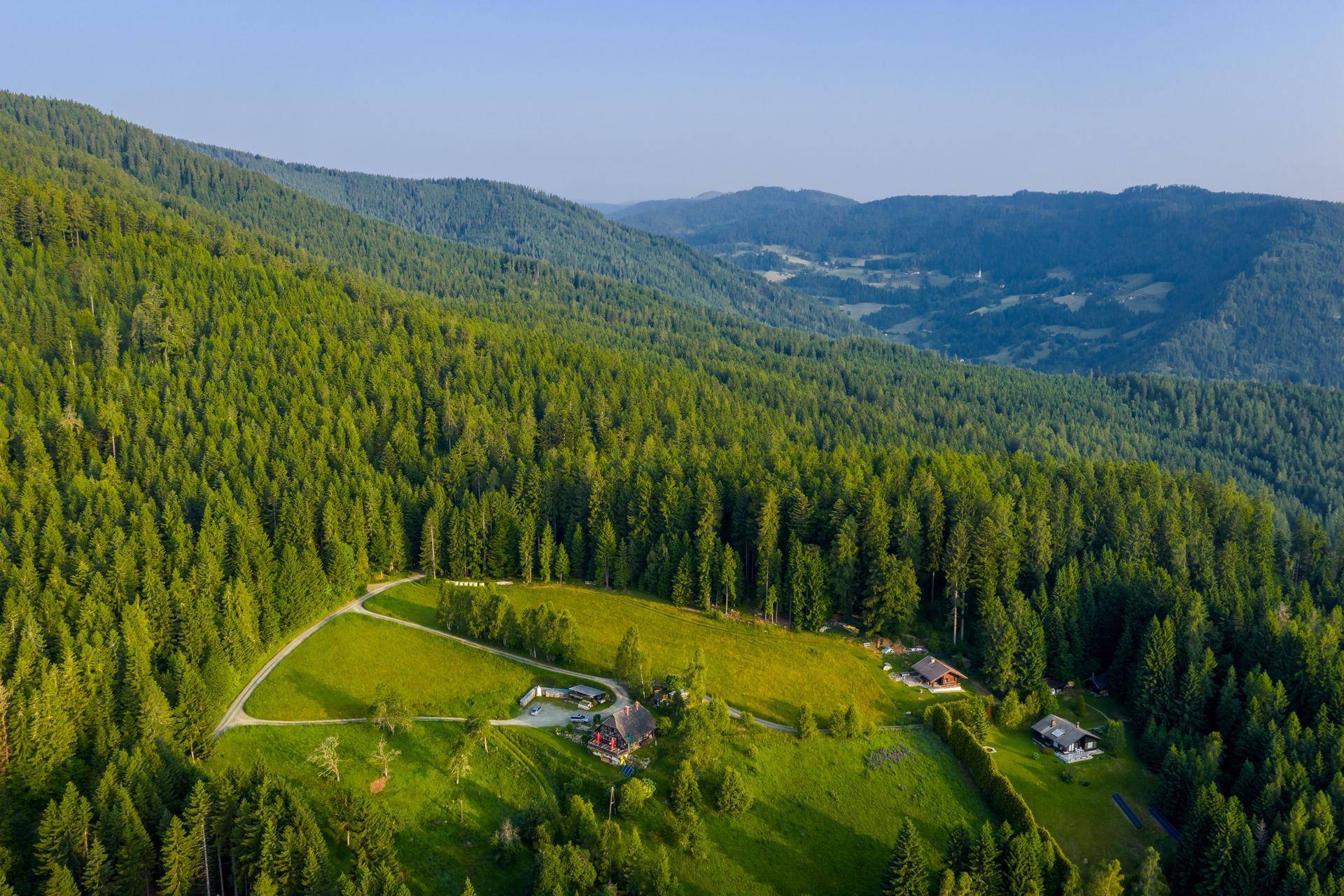 Luftaufnahme einer weitläufigen Waldlandschaft mit mehreren Häusern und grünen Lichtungen.