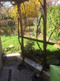 Grüner Gartenbereich mit Pergola, Kiesboden und blühenden Sträuchern.