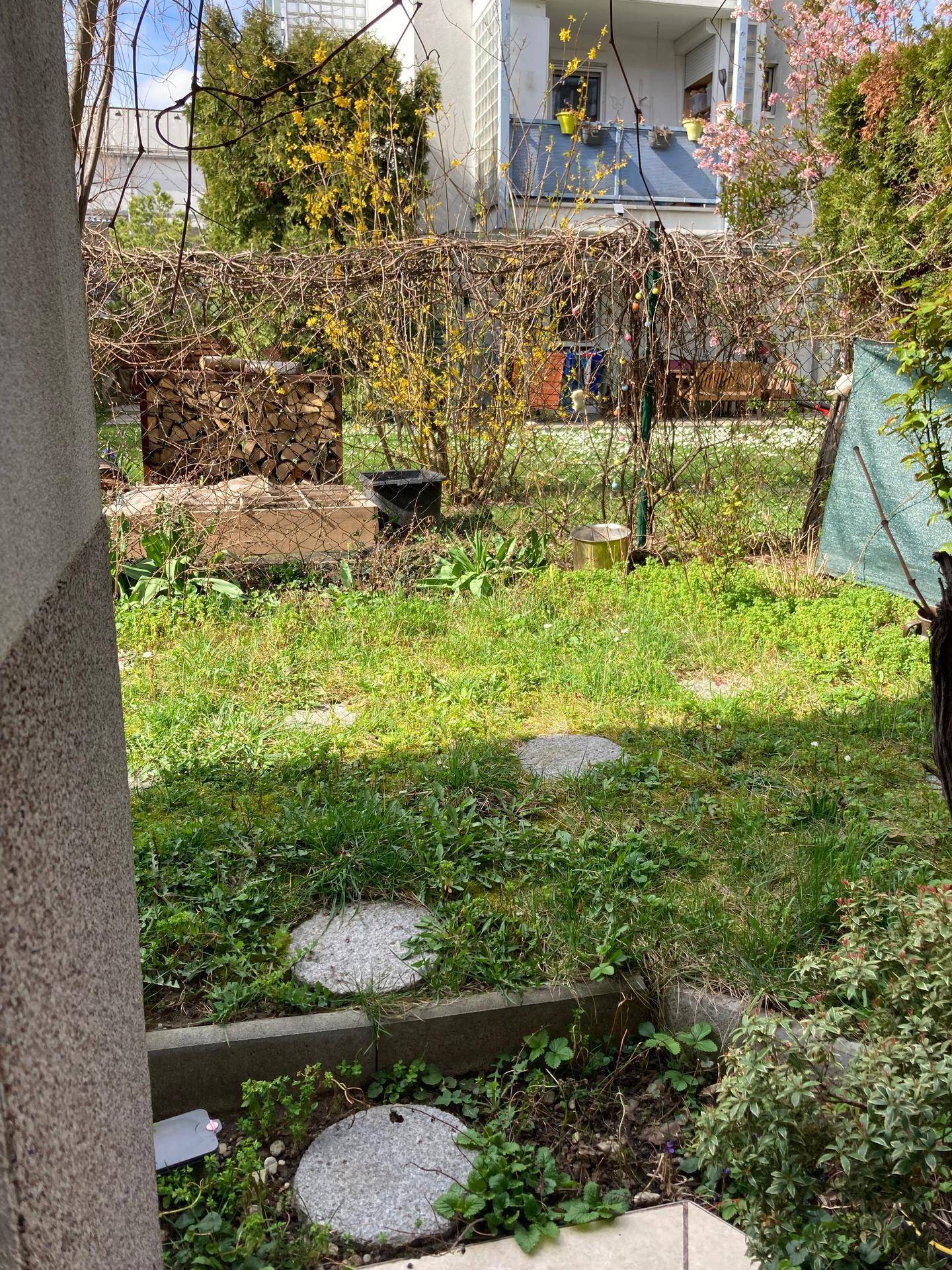 Gepflegter Rasenbereich im Garten mit Trittsteinen und Holzstapel im Hintergrund.