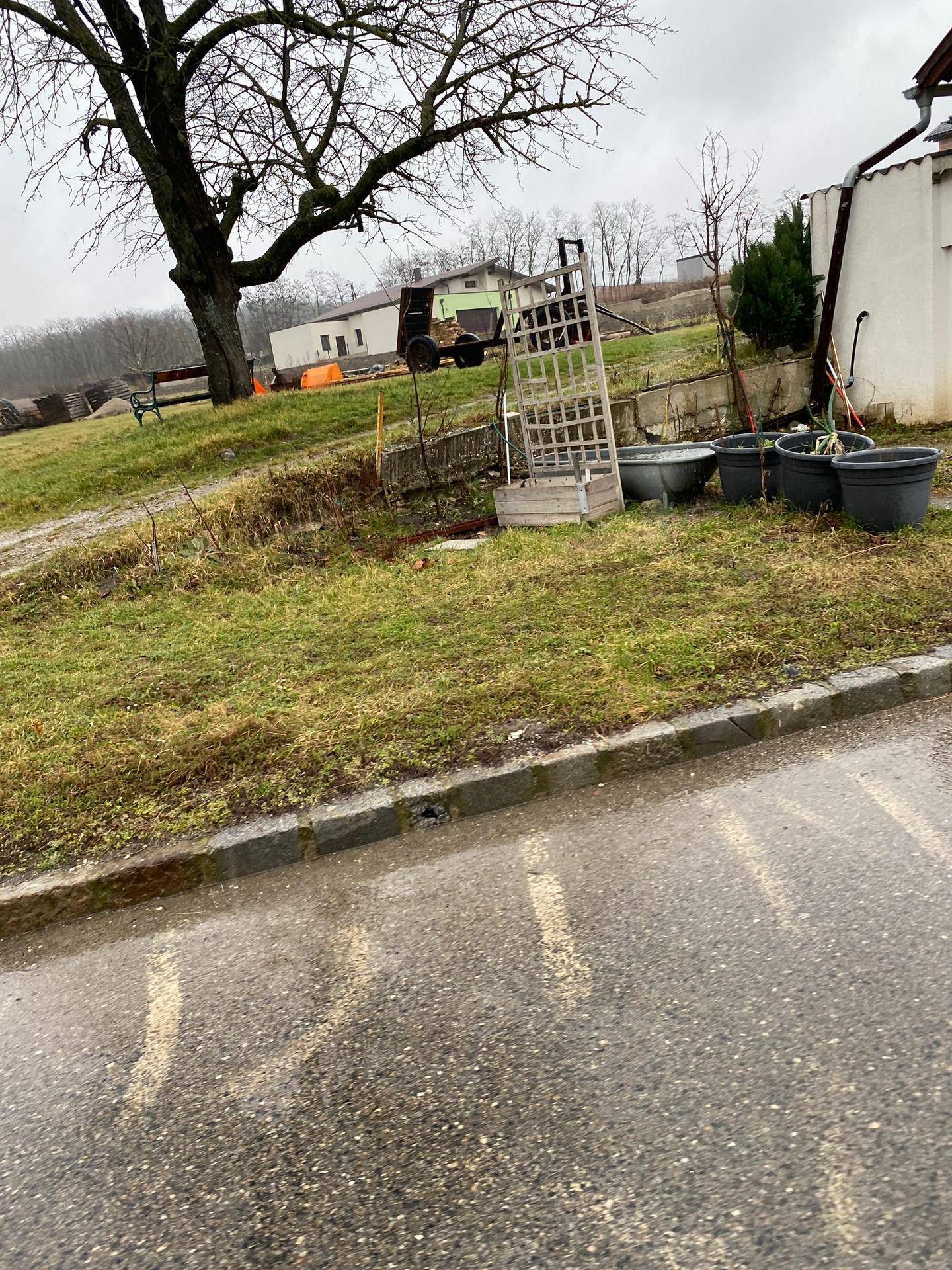 Gartenbereich mit großem Baum, Pflanzkübeln und einer Leiter, im Hintergrund ein Haus.