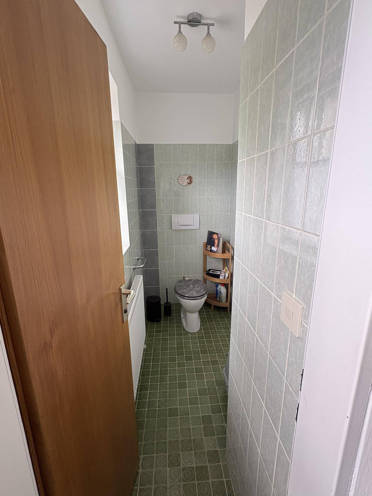 Kleines Gäste-WC mit grünen und grauen Fliesen sowie einer Toilette.