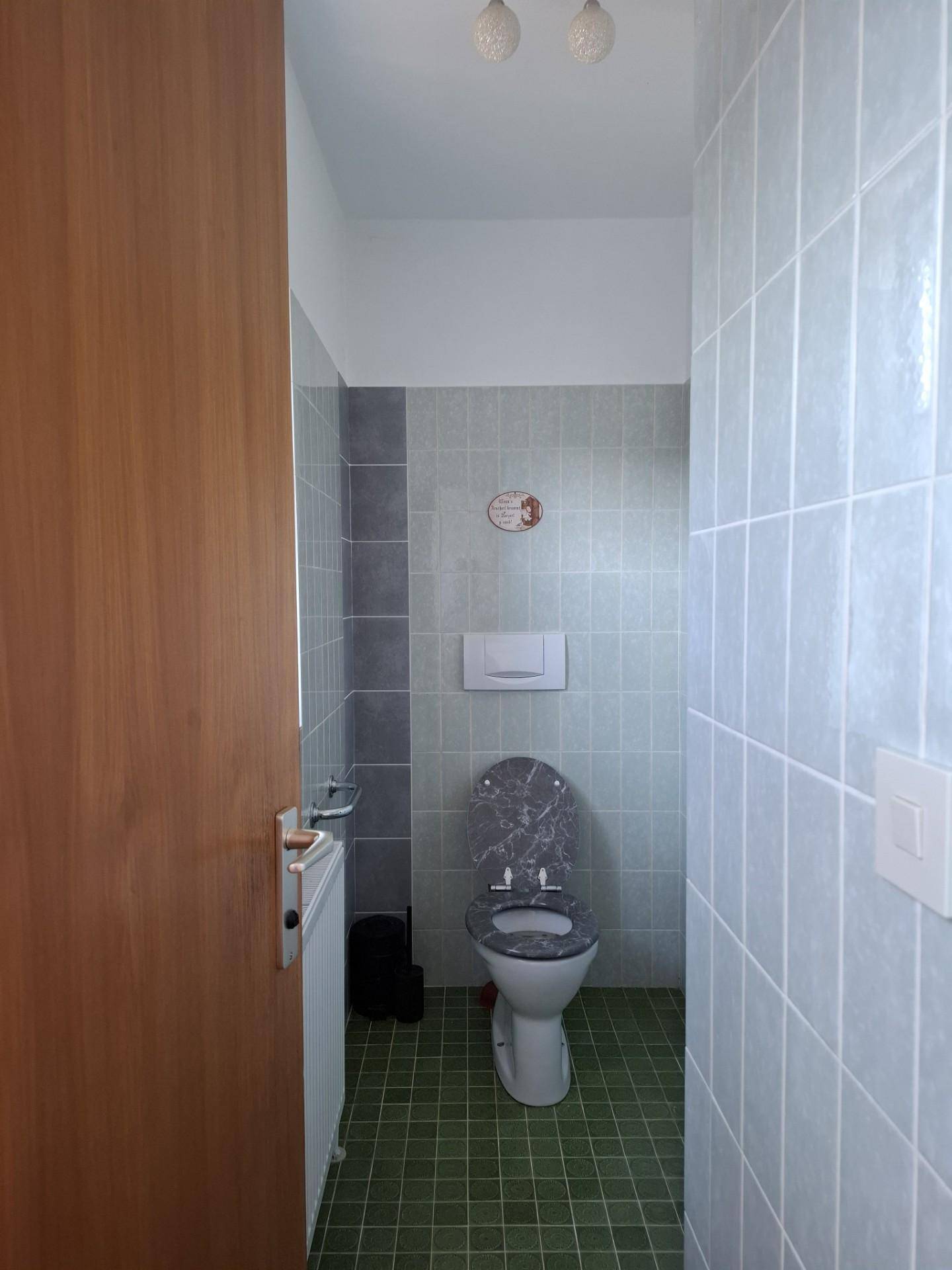 Kleines Gäste-WC mit grünen und grauen Fliesen sowie einer Toilette.