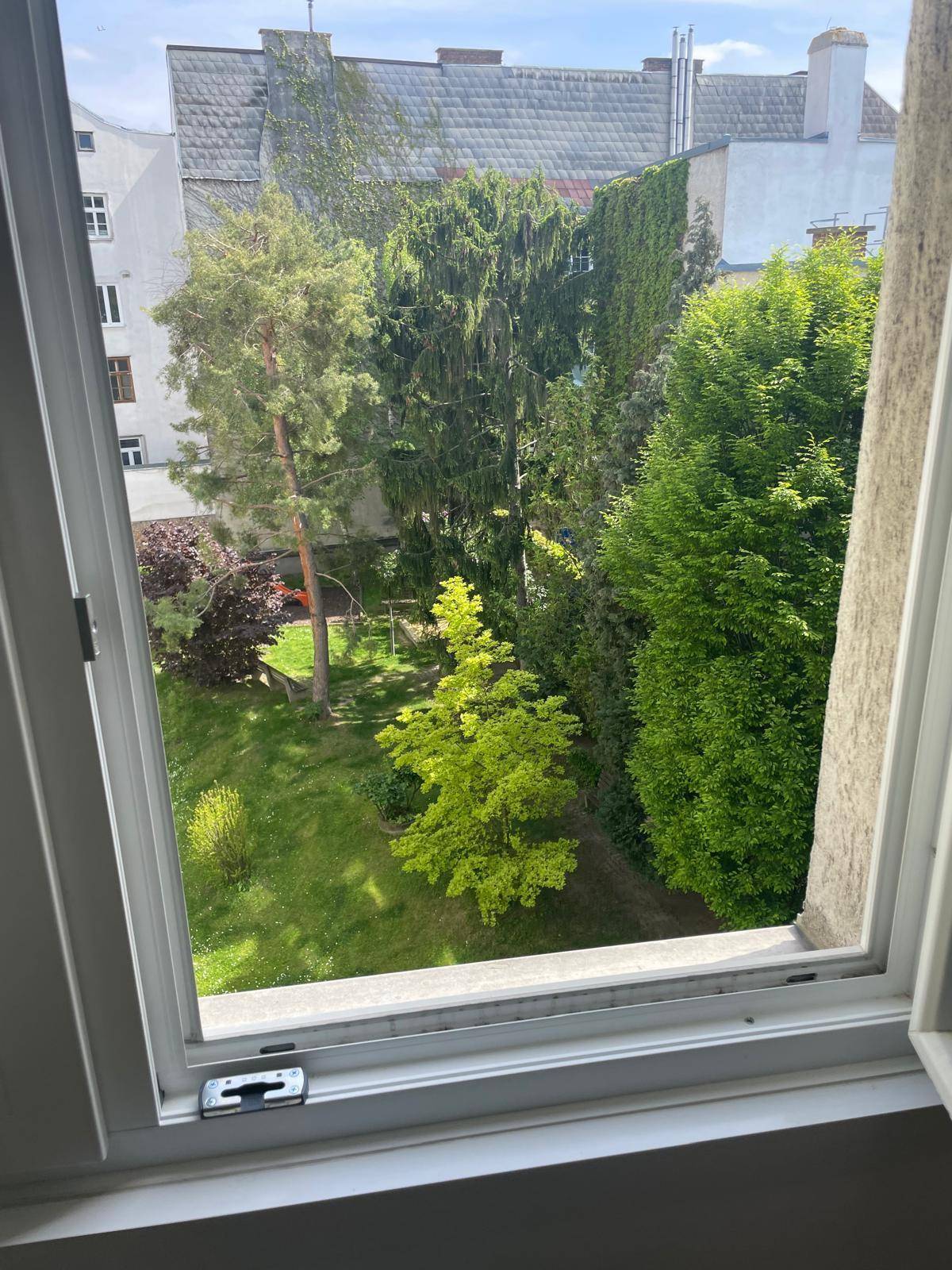 Blick aus dem Fenster auf einen grünen Innenhof mit Bäumen und umliegenden Gebäuden.