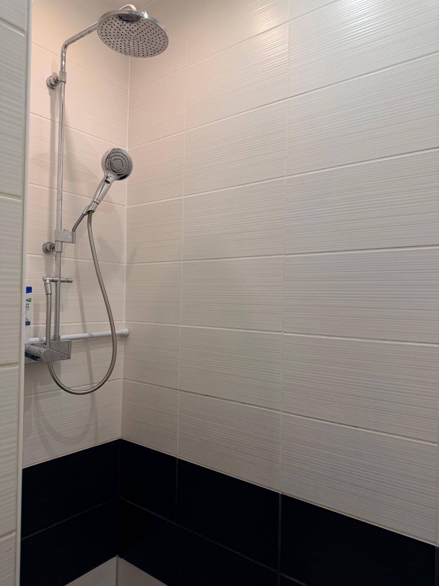 Moderne Dusche mit Regenduschkopf und Handbrause in einem gefliesten Badezimmer.