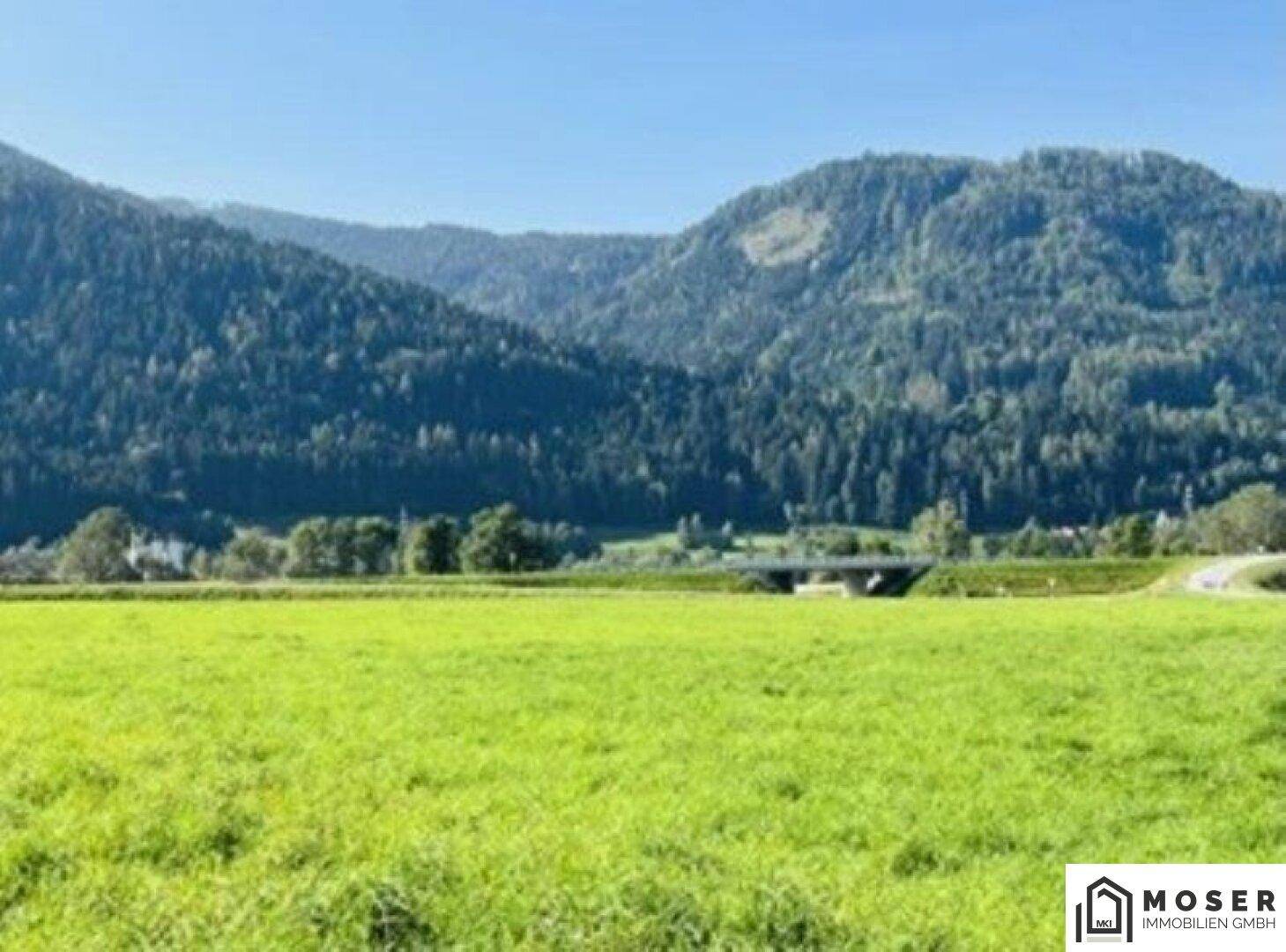 Weite grüne Wiese mit bewaldeten Bergen und einer Brücke in der Ferne.