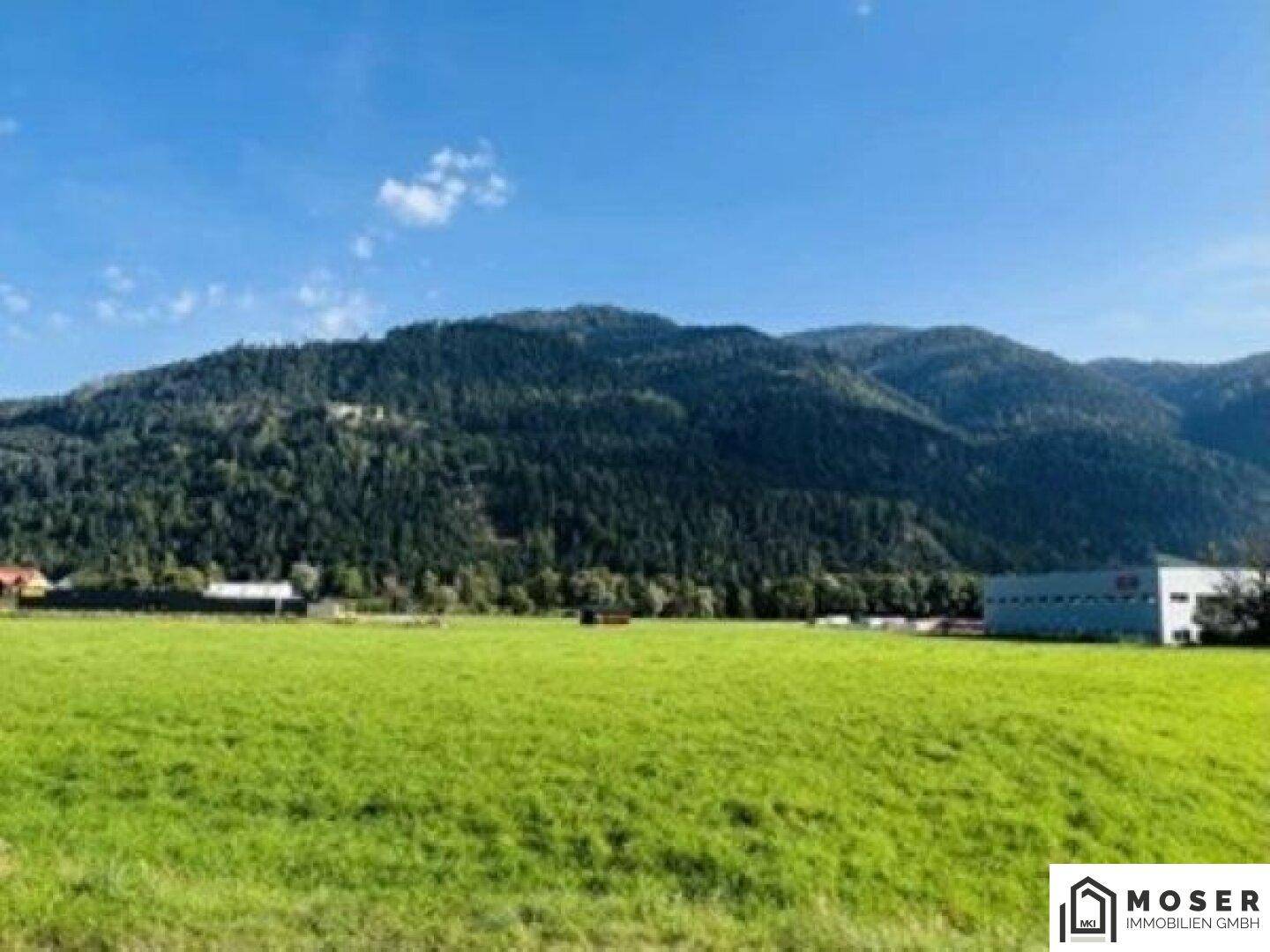 Panoramablick über eine weite grüne Wiese mit majestätischen Bergen am Horizont.