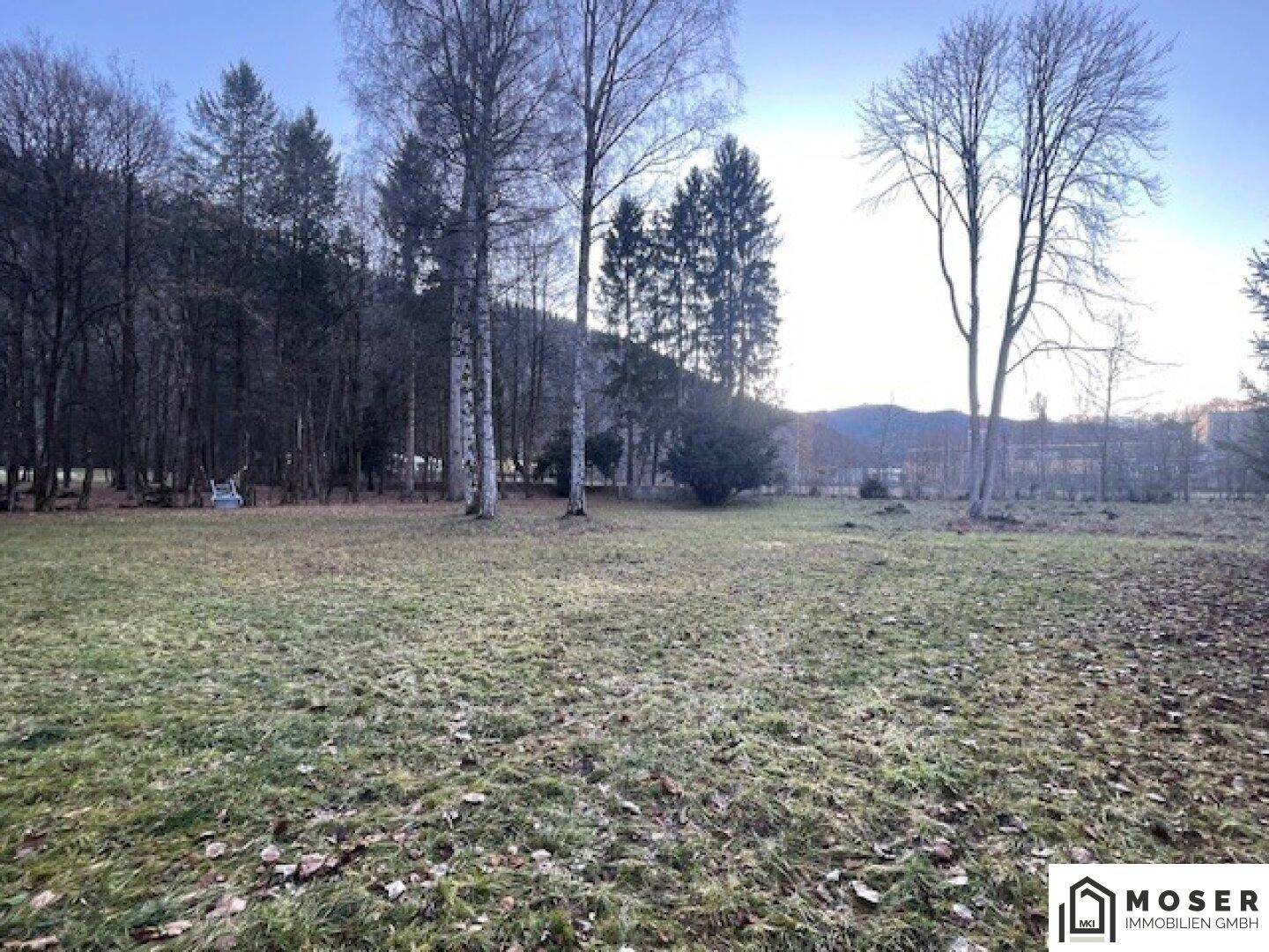 Weitläufige Grünfläche mit vereinzelten Bäumen und einem Blick auf bewaldete Hügel im Hintergrund.