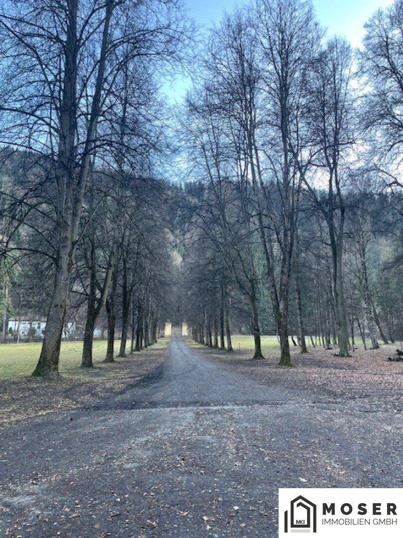 Allee mit kahlen Bäumen, die zu einem entfernten Gebäude führt, unter einem klaren Winterhimmel.