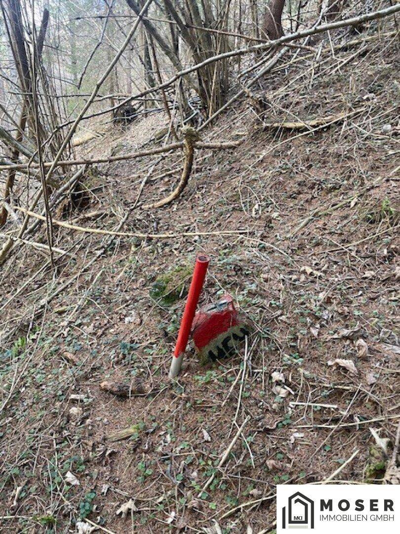 Nahaufnahme des Waldbodens mit trockenen Blättern, Ästen und einem roten Markierungspfahl in der Erde.