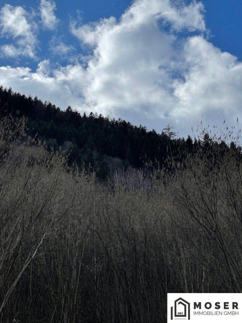 Bewaldeter Berghang unter einem dramatischen blauen Himmel mit weißen Wolken, der eine weite Aussicht bietet.
