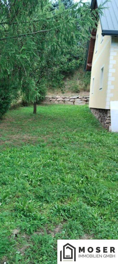 Grüne Rasenfläche am Hang neben dem Haus mit einem Baum.