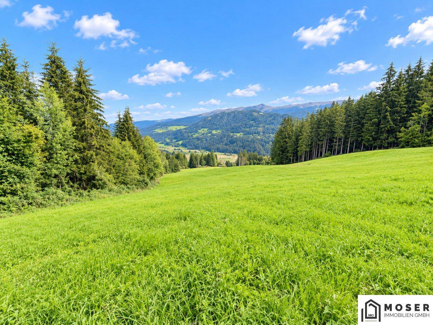 Grüne Hangwiese mit bewaldeten Rändern und einem weiten Blick auf die umliegende Berglandschaft.