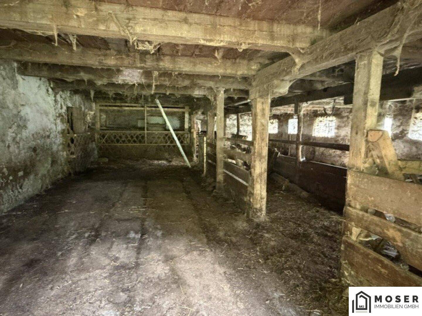 Alter, verfallener Stallraum mit Holzbalken, schmutzigem Boden und Spinnweben.