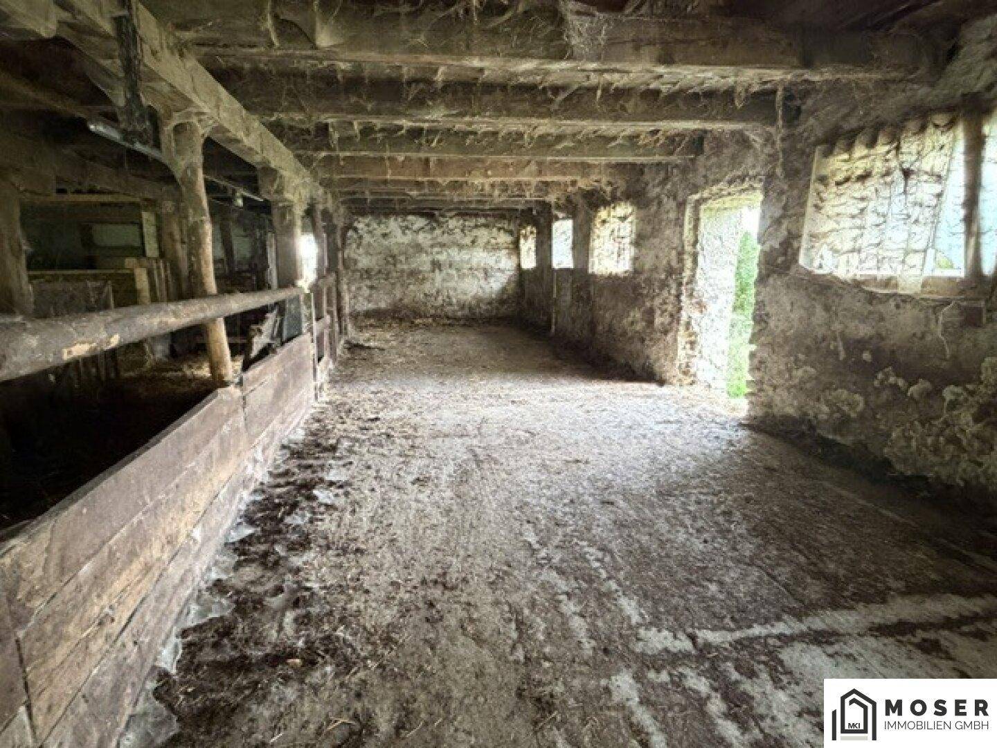 Innenansicht eines alten Stalls mit robusten Holzbalken und kleinen Fenstern, die Tageslicht hereinlassen.
