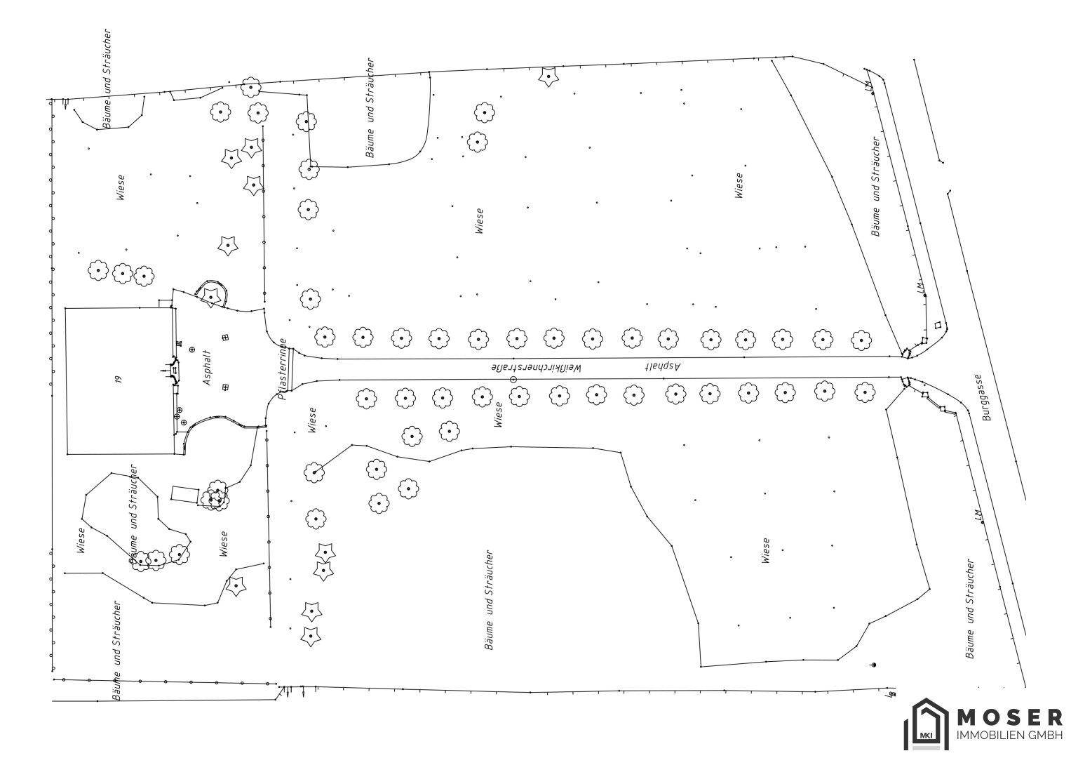Übersichtsplan des Grundstücks mit Straßen, Wiesenflächen und Baumbestand.