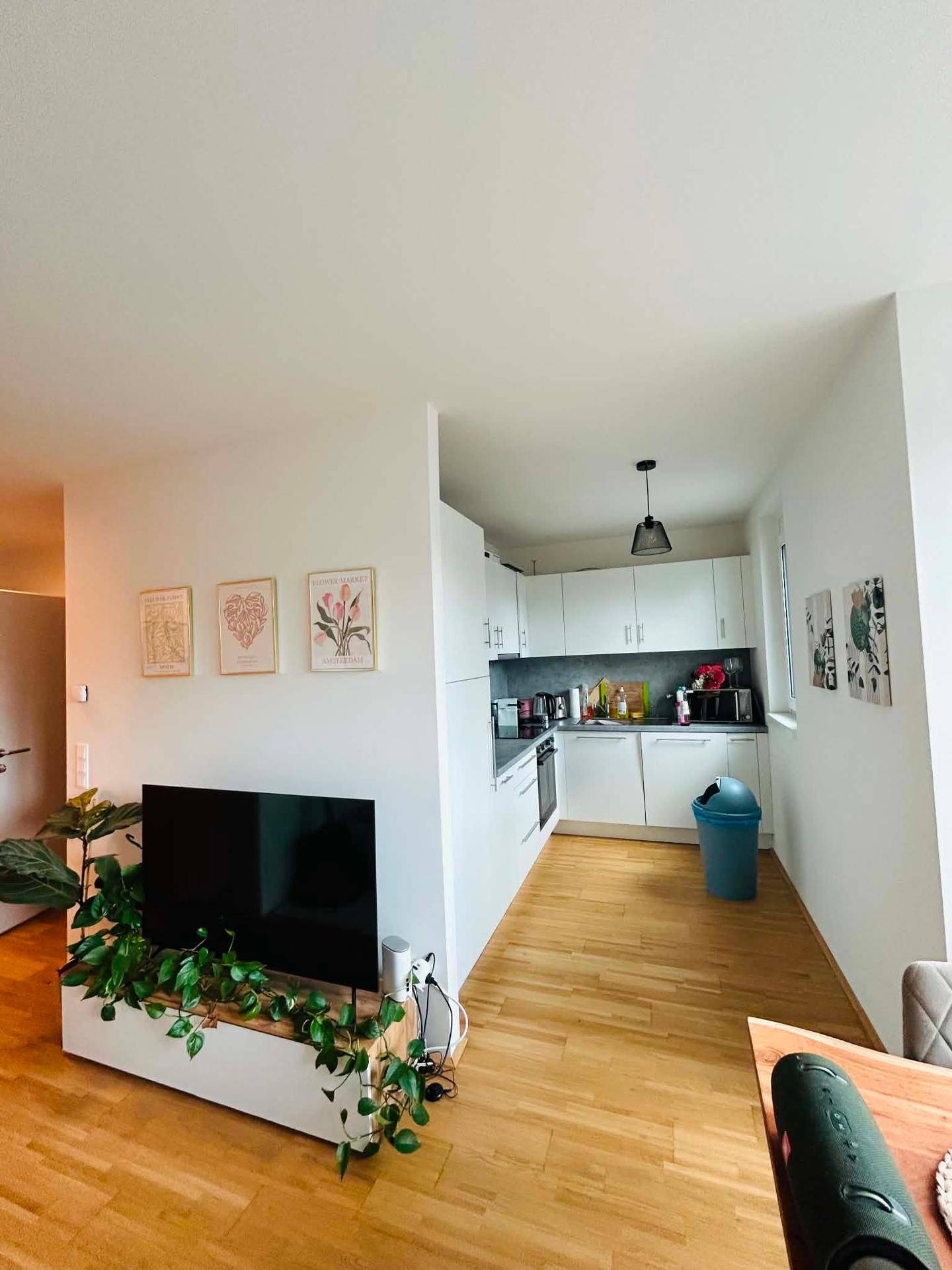 Moderne, offene Küche mit weißen Schränken und Holzboden, integriert in den Wohnbereich.
