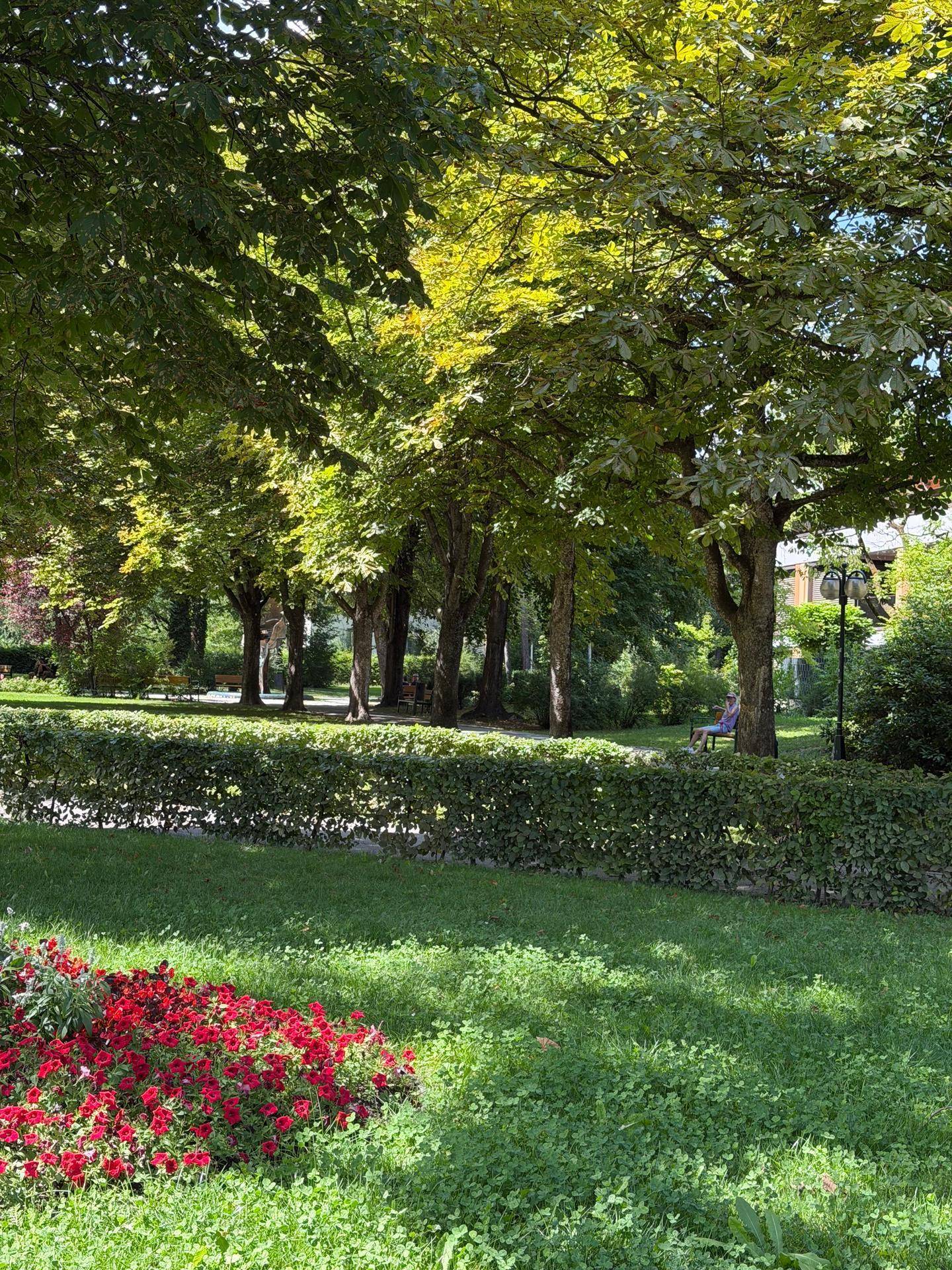 Gepflegte Parkanlage mit sattgrünem Rasen, hohen Bäumen, einer Hecke und leuchtend roten Blumenbeeten.
