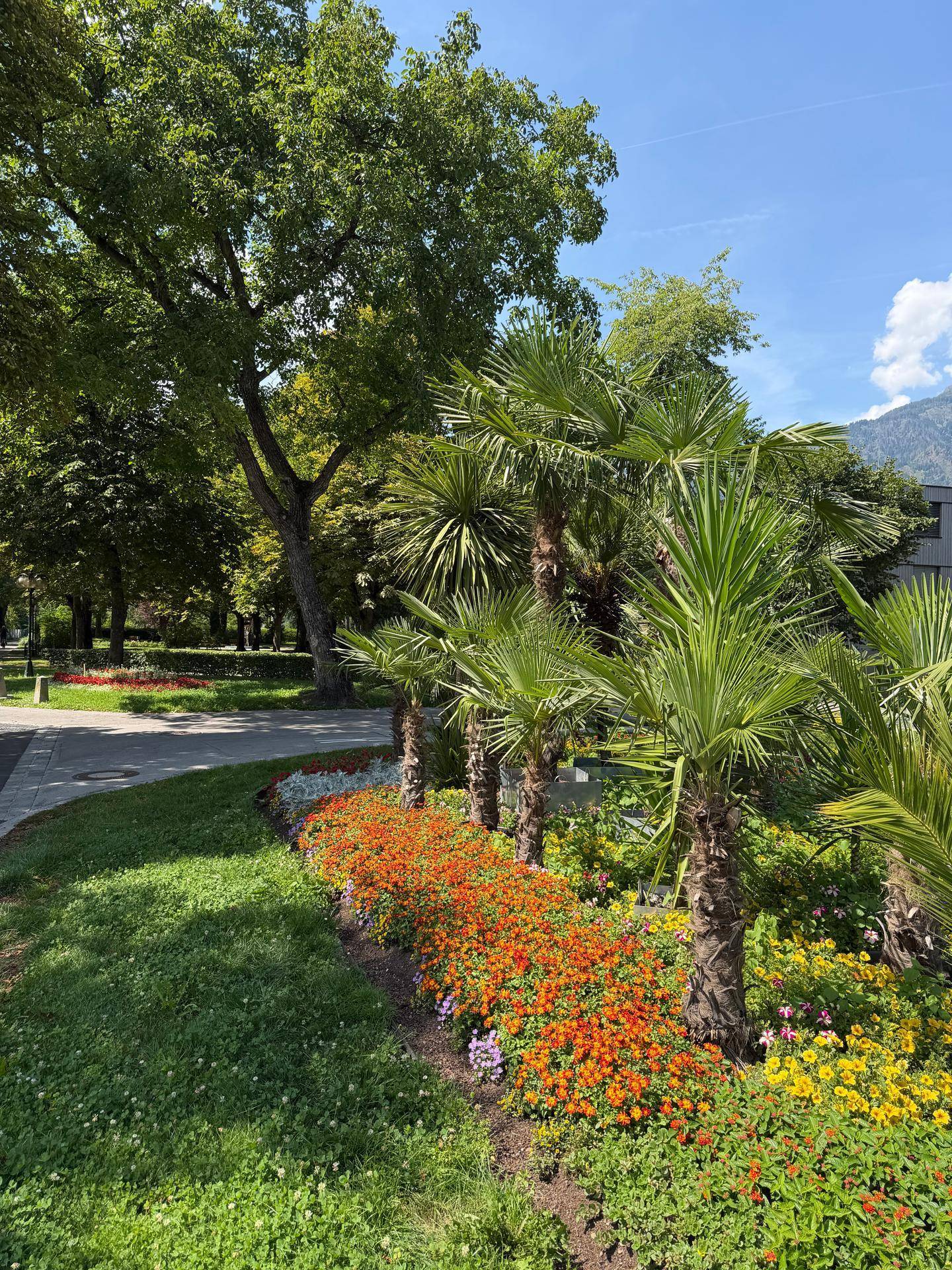 Mediterrane Parklandschaft mit Palmen, farbenfrohen Blumenbeeten und einem Weg, im Hintergrund Berge.