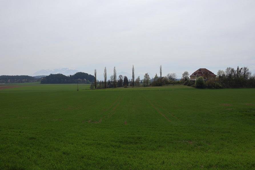 Weite grüne Felder mit Bäumen und Bergen im Hintergrund unter einem bewölkten Himmel.