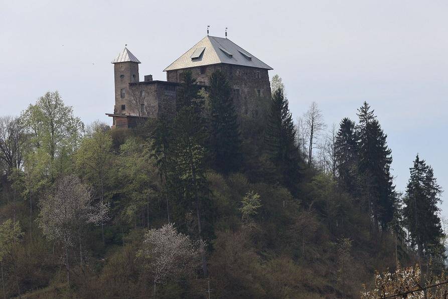 Historische Burg auf einem bewaldeten Hügel unter einem hellen Himmel, umgeben von Bäumen.