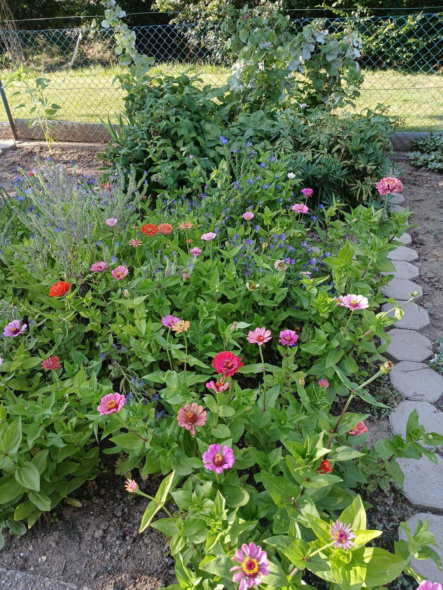 Buntes Blumenbeet mit verschiedenen Blüten in voller Pracht, umgeben von üppigem Grün.