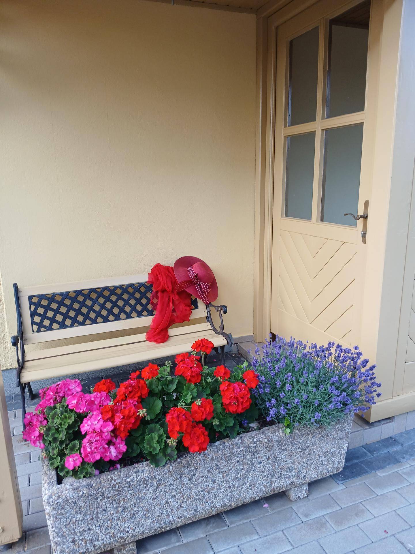 Nahaufnahme eines Blumenkastens mit leuchtenden Geranien und Lavendel neben einer Holzbank.