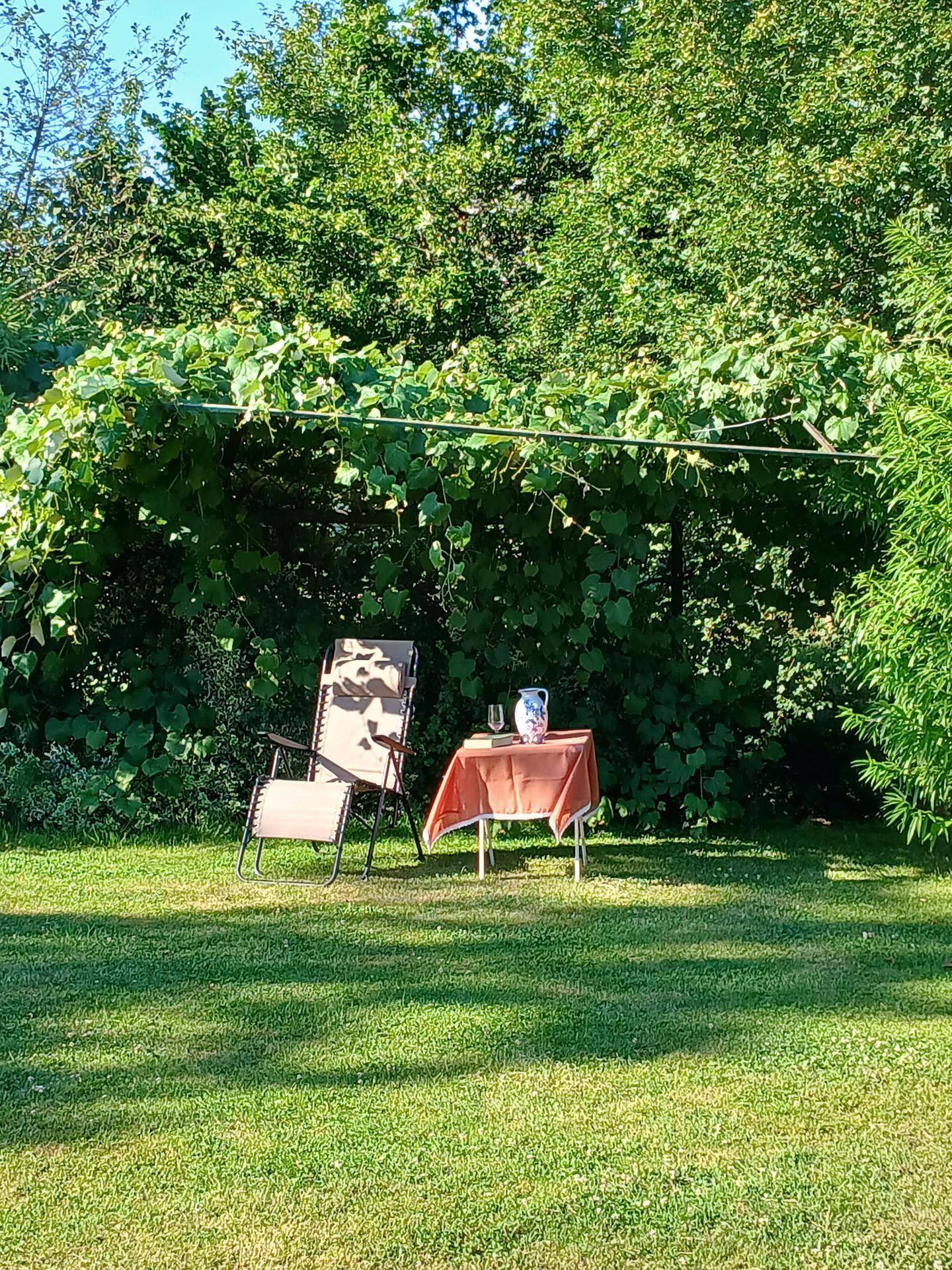Gemütlicher Sitzbereich im Garten unter einer grünen Pergola, ideal zum Entspannen im Freien.