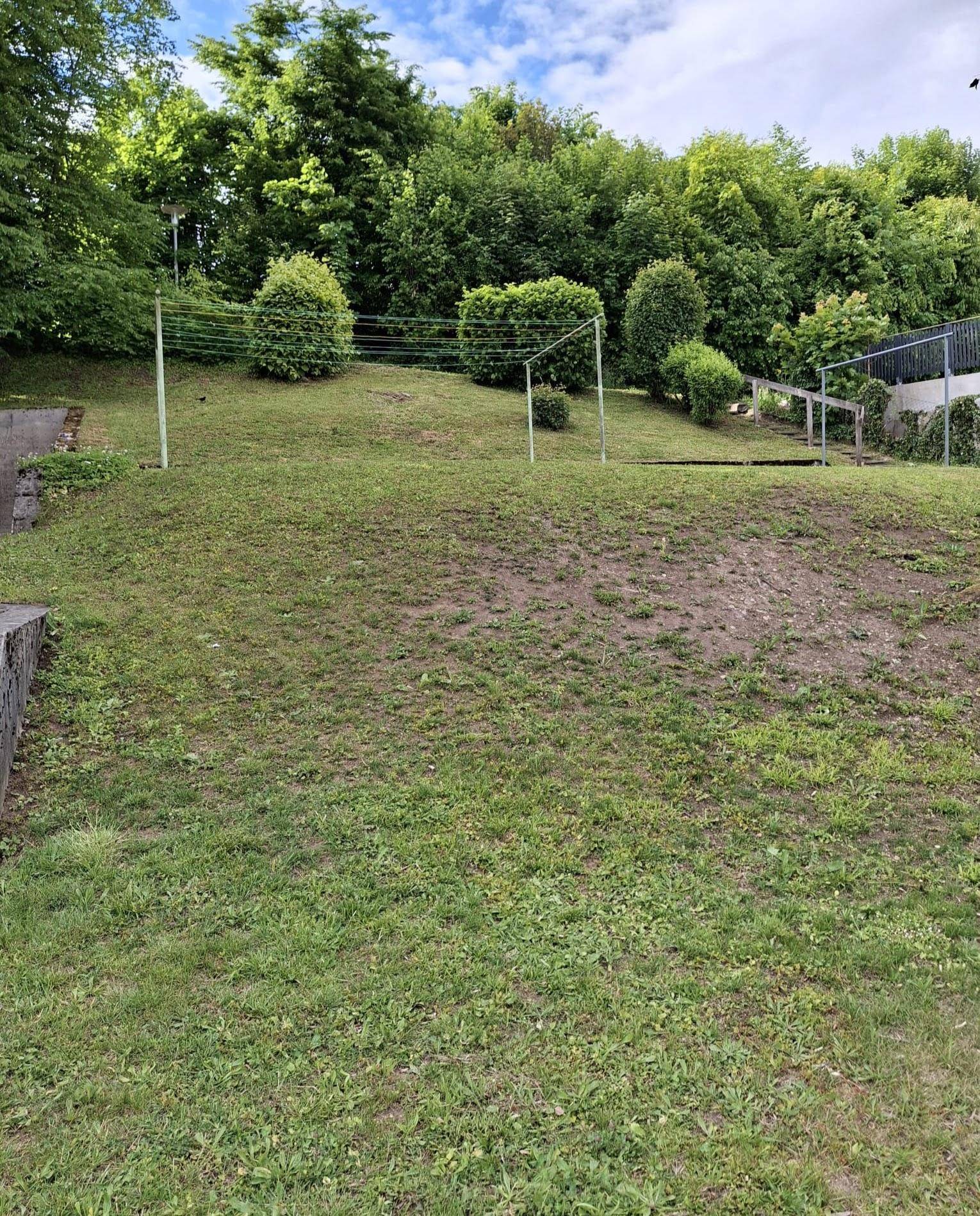 Grüne Rasenfläche mit leichter Hanglage und Wäscheleinen, nutzbar als Gemeinschaftsgarten.