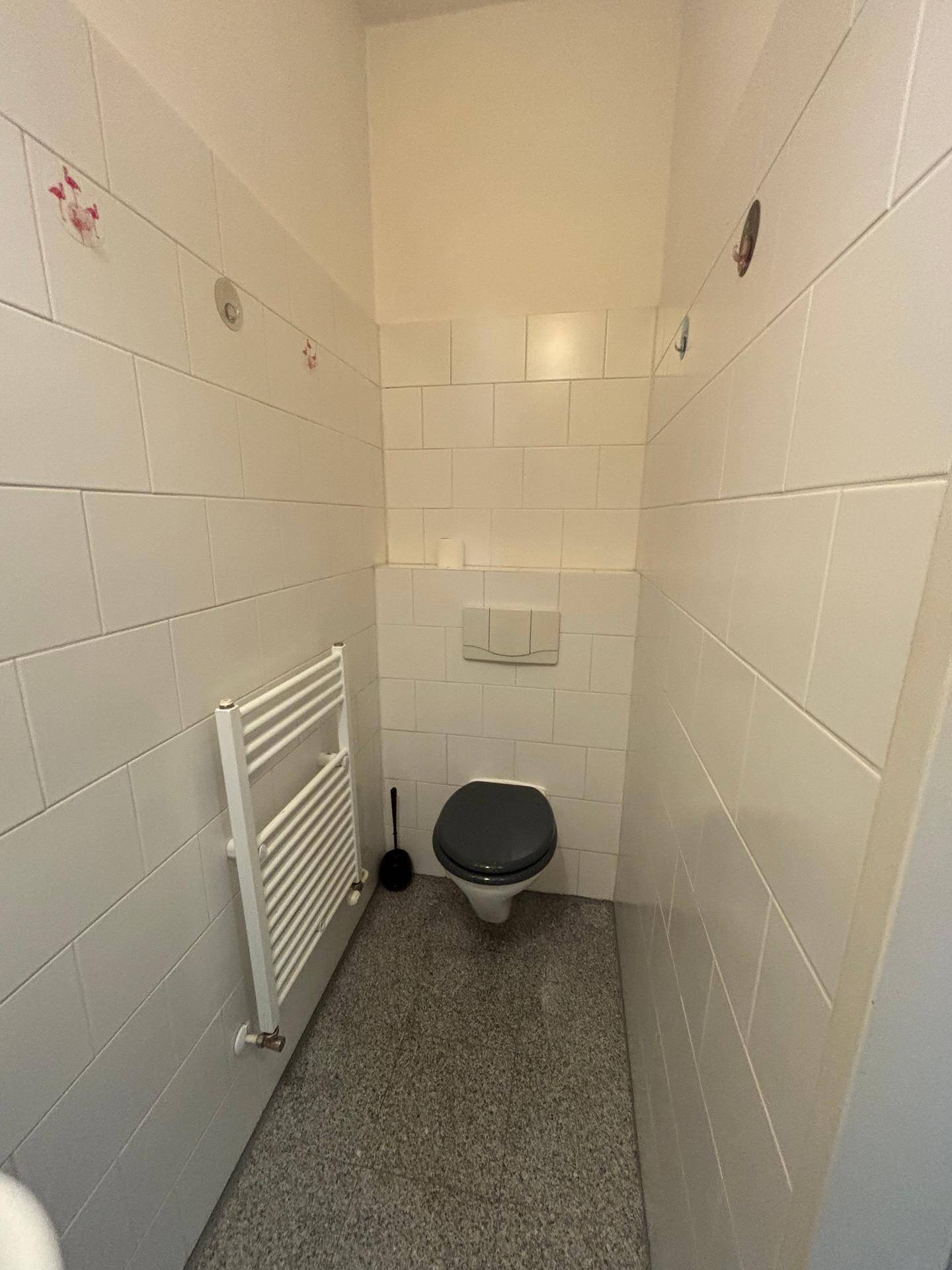 Separates WC mit weißen Wandfliesen, Toilette und beheiztem Handtuchhalter, sauber und hell.