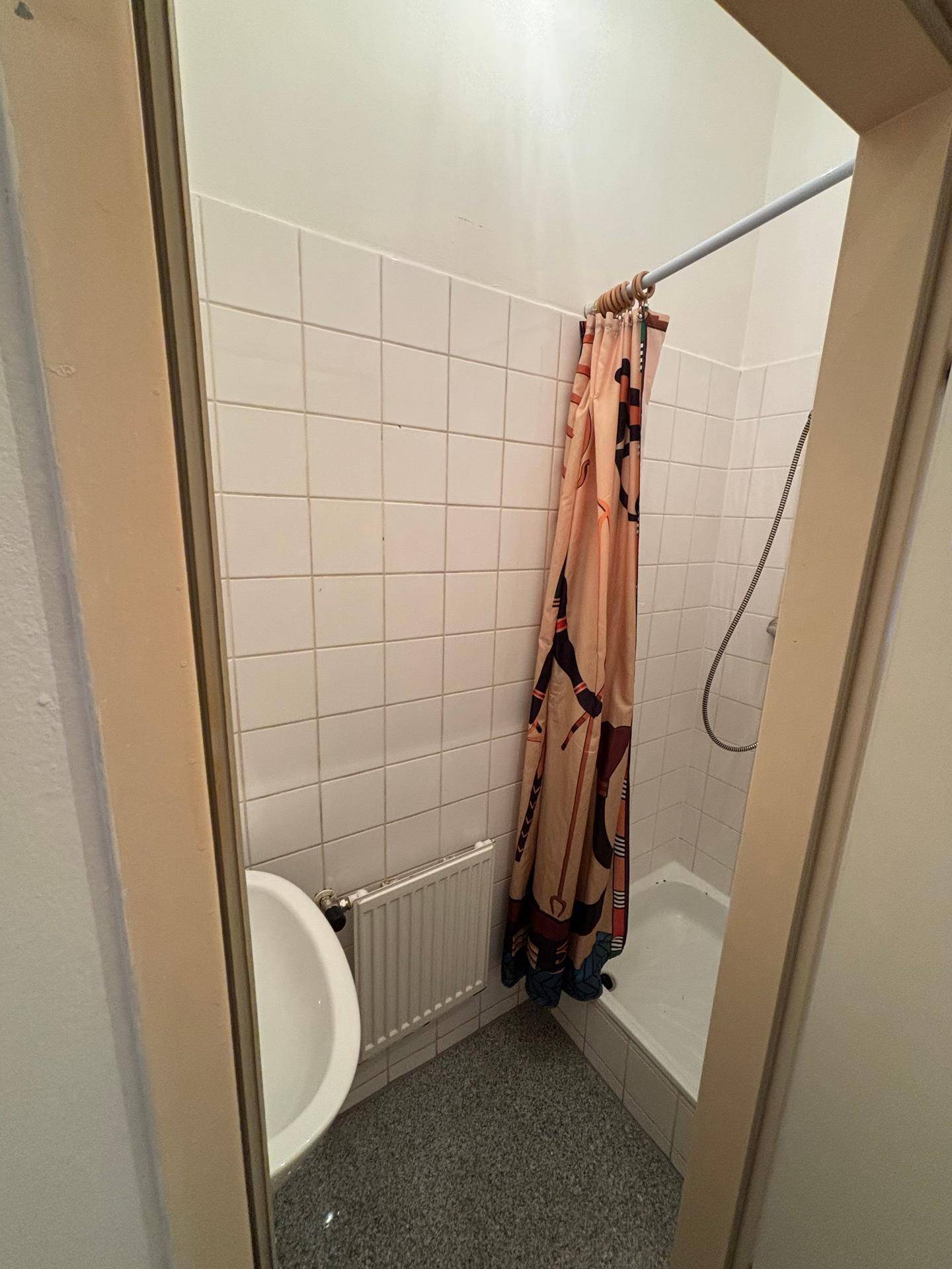 Kompaktes Badezimmer mit Duschbereich, Waschbecken und Heizkörper, ausgestattet mit weißen Fliesen.