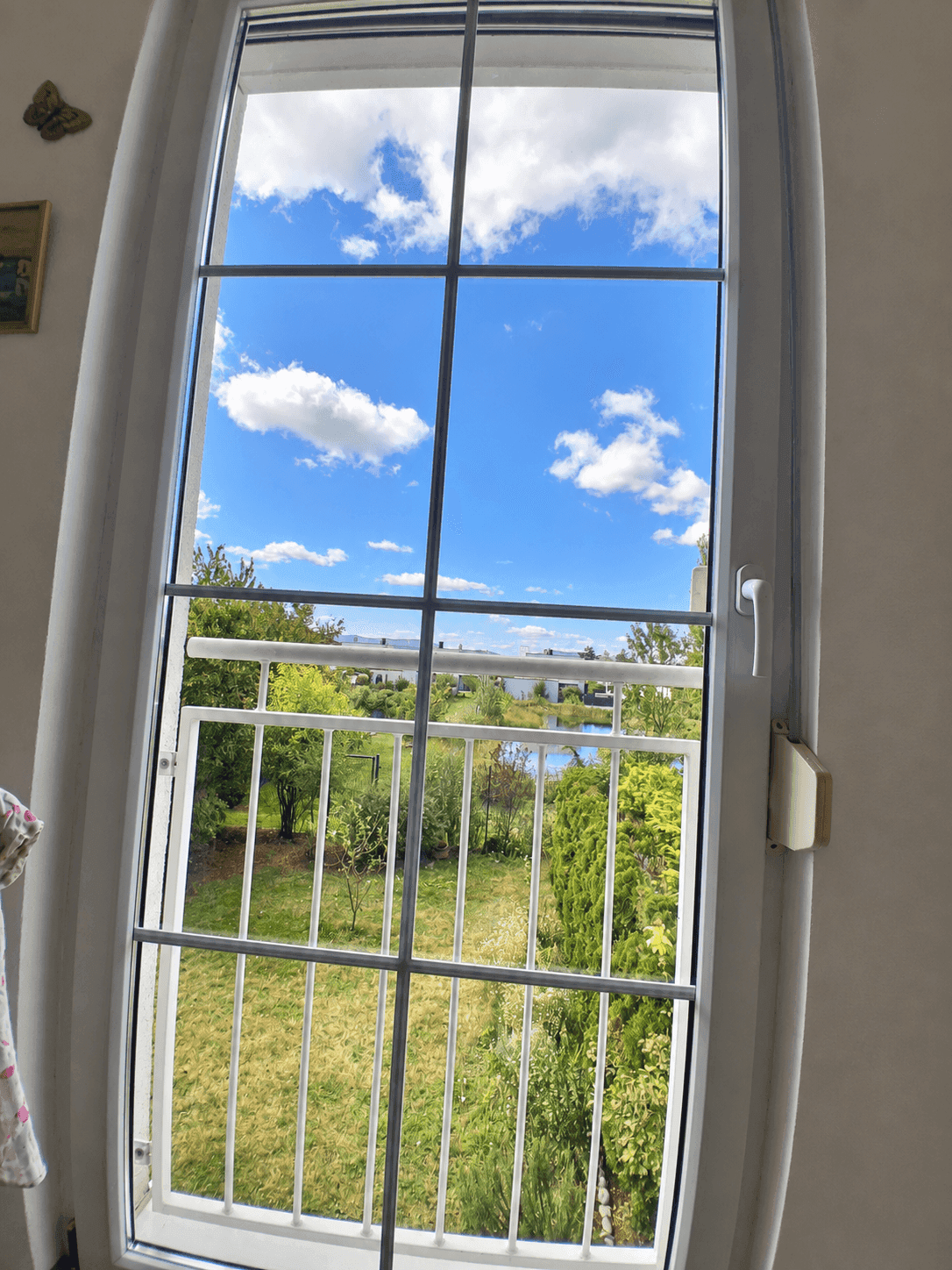 Weitblick vom französischen Balkon über die grüne Umgebung und einen Teich.