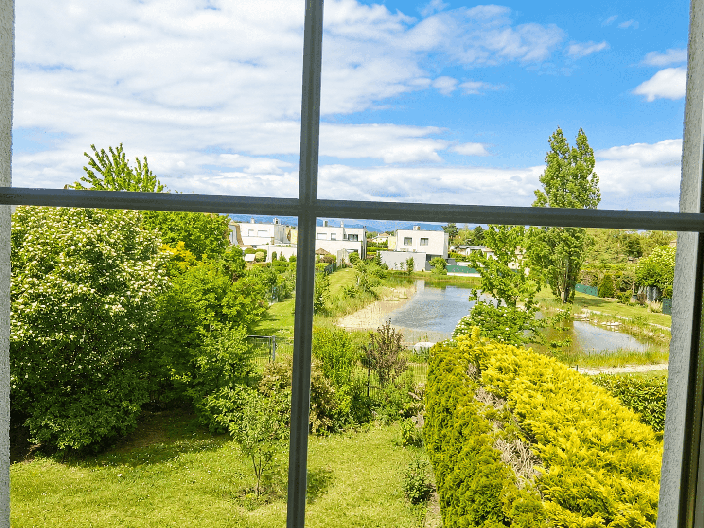 Weitblick aus dem Fenster auf einen Teich, grüne Bäume und moderne Häuser.