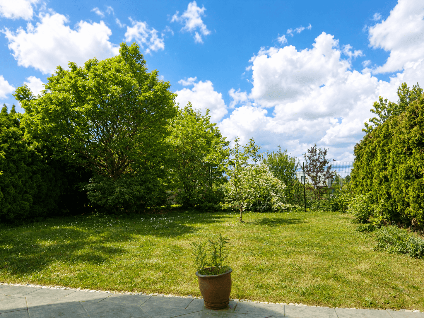 Großer, gepflegter Garten mit Rasenfläche und verschiedenen Bäumen unter blauem Himmel.