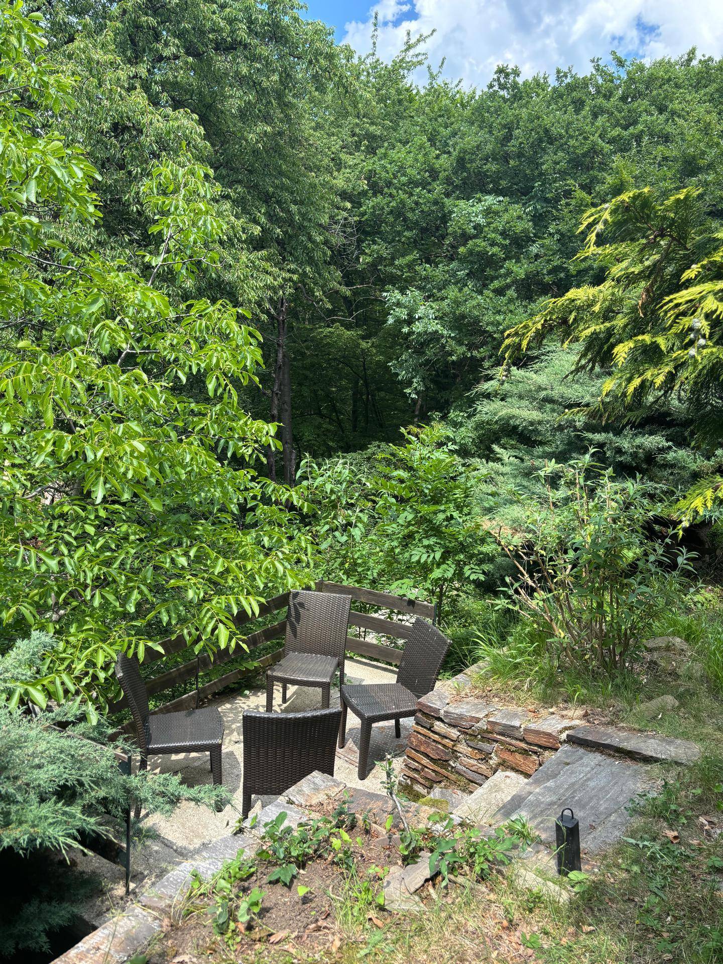 Ruhiger Sitzbereich im Garten mit dunklen Korbmöbeln, umgeben von dichter Vegetation.