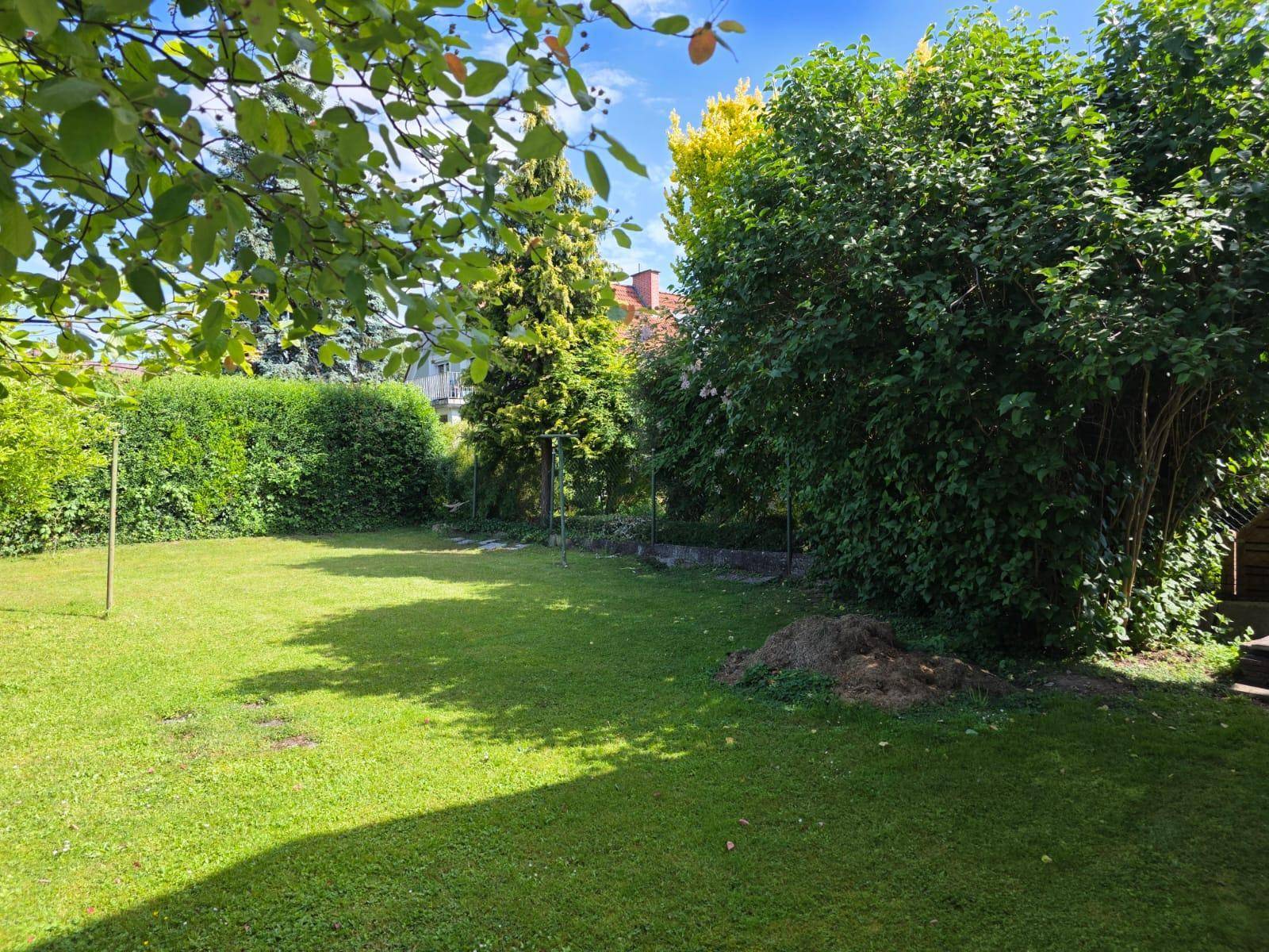 Weitläufiger Rasenbereich im Garten, umgeben von hohen Hecken und Bäumen für Privatsphäre.