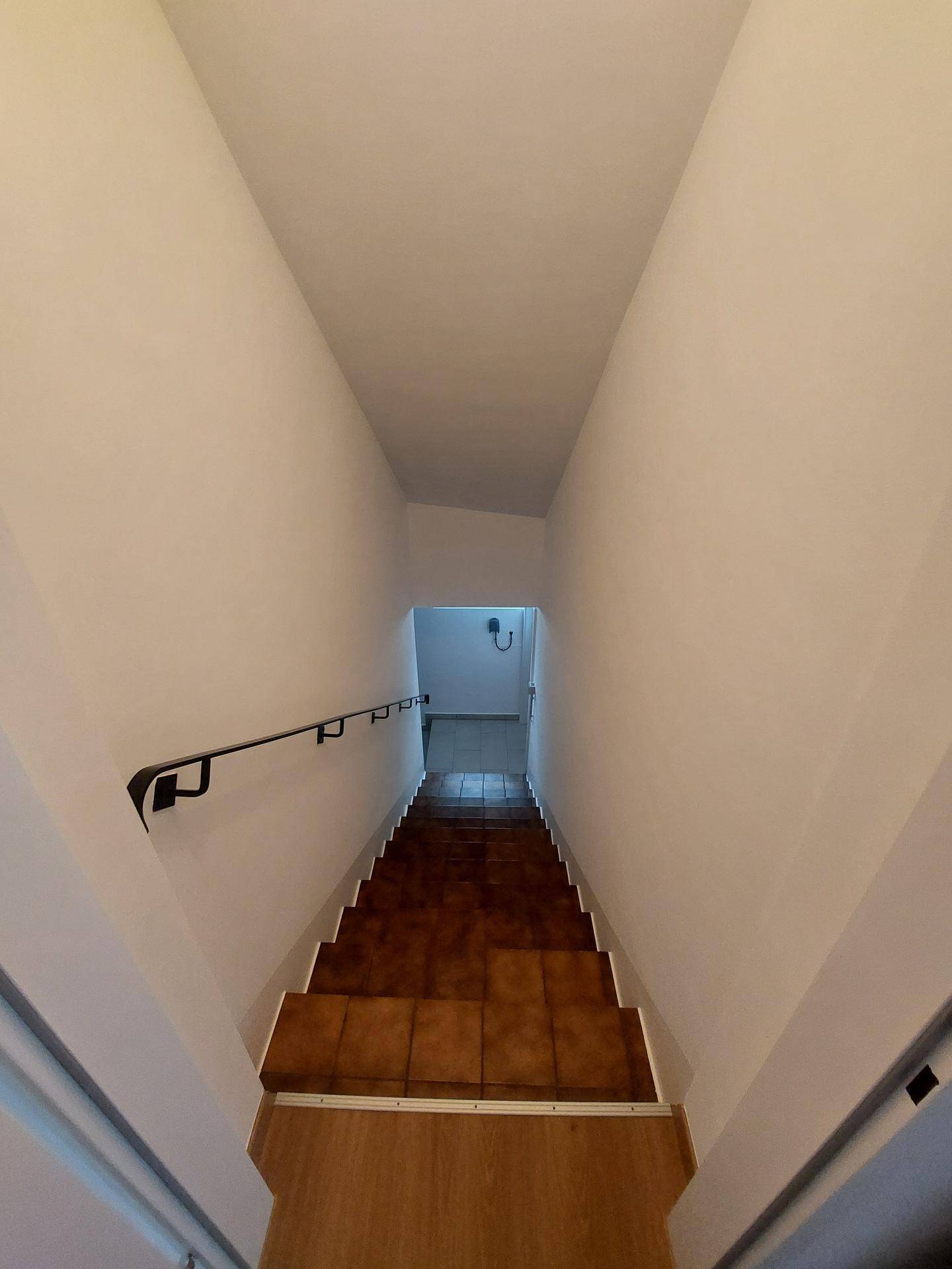 Treppenabgang in den Keller mit Fliesenstufen und Handlauf.