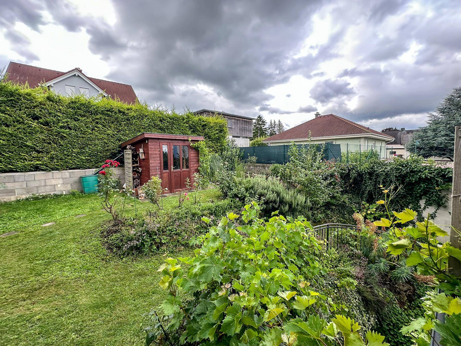 Gepflegter Gartenbereich mit Rasenfläche, Hecke und einem kleinen Holzschuppen unter bewölktem Himmel.